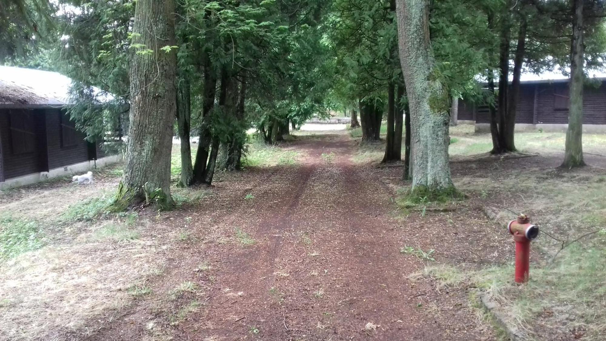 Stacja Wypoczynkowa Augustow Villa ภายนอก รูปภาพ